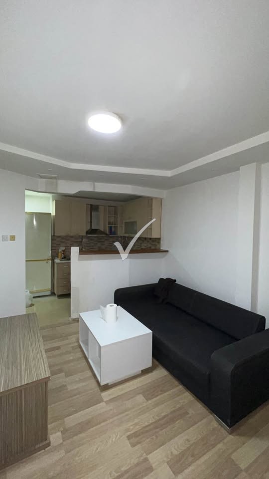 462002031 1571554980097399 319101044723553038 n