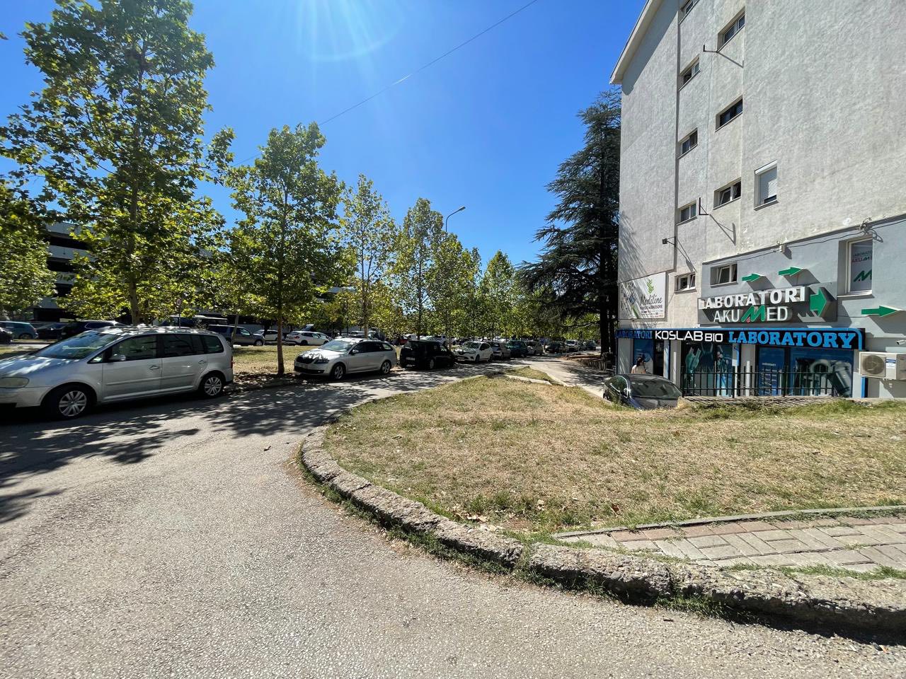 557719443 25767088486214317 8842512287246820515 n