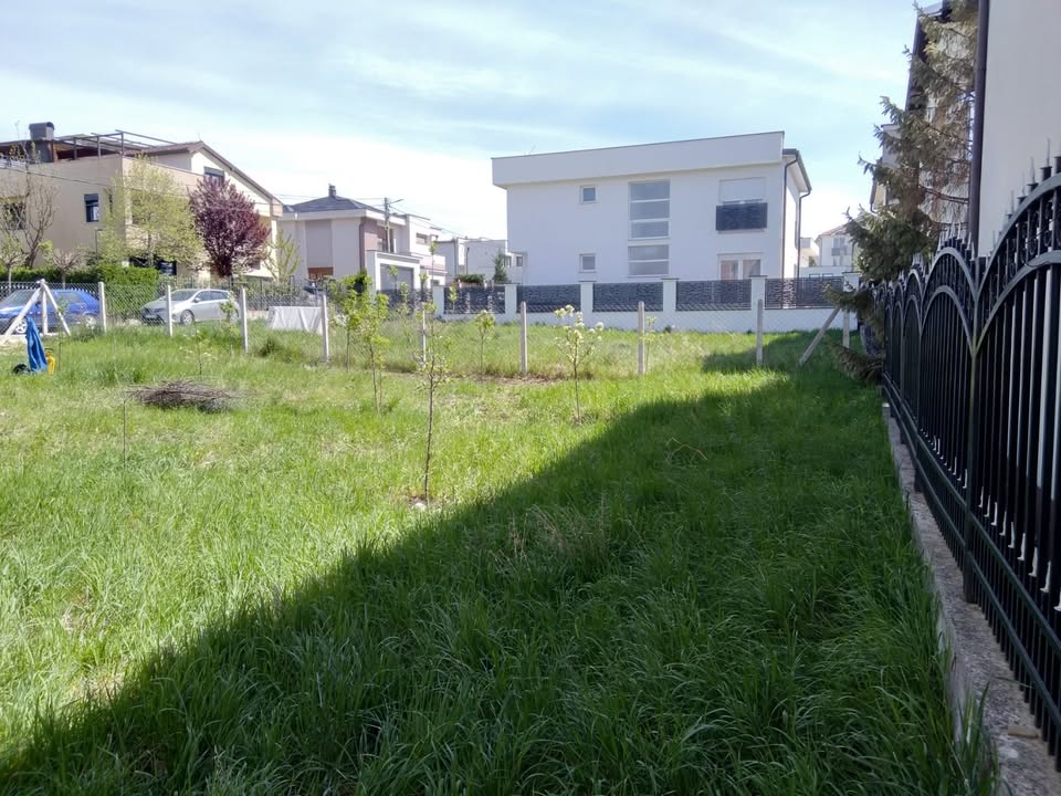 559723923 1548146109953967 6026004509022423153 n