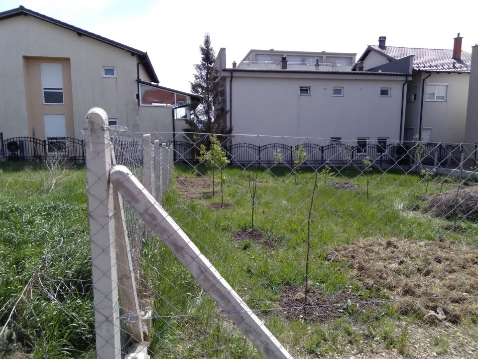 560606331 1378328163714435 5700857897478110906 n