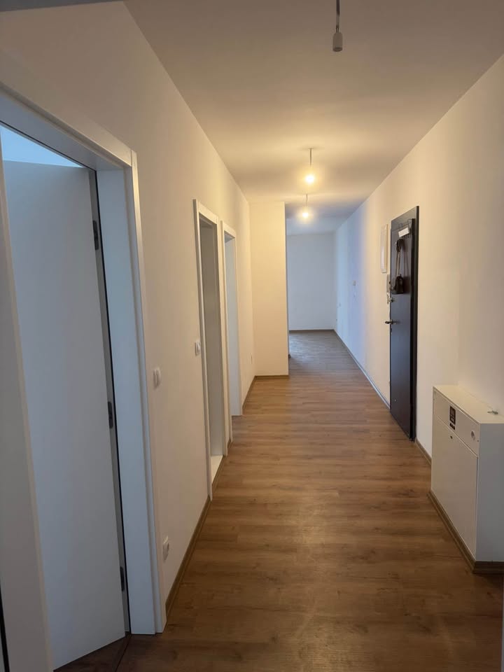 561239693 1315825076798397 3148026900328739245 n