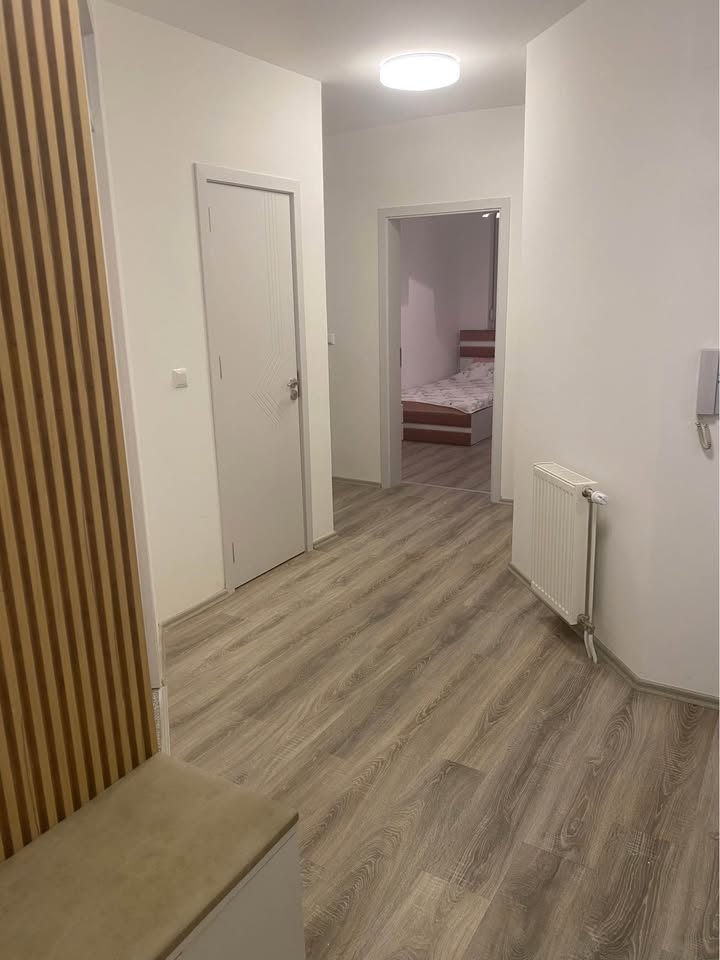 567309813 2337264776692451 3207576238815181203 n