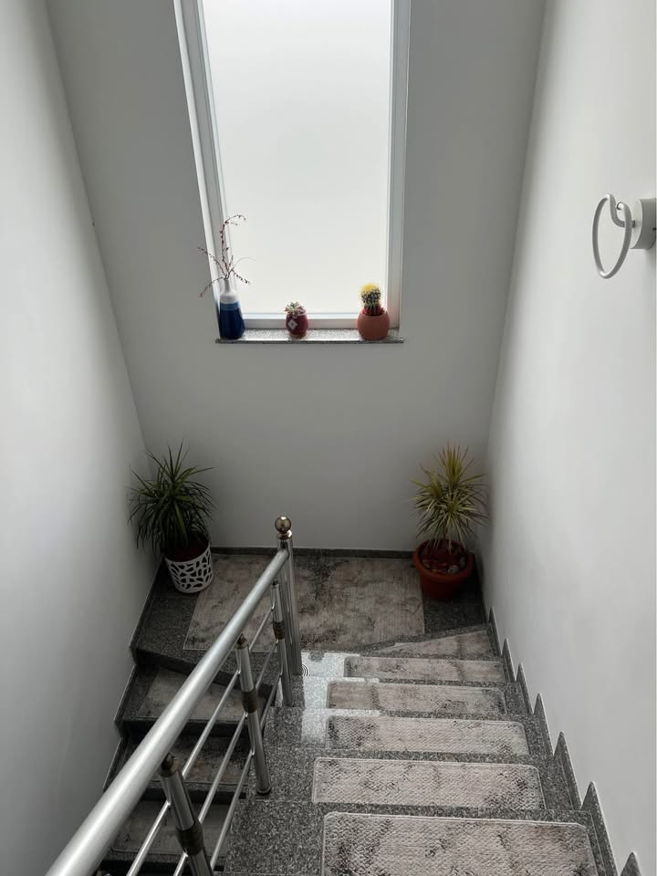 573523697 2495676940817680 6701940014110981924 n