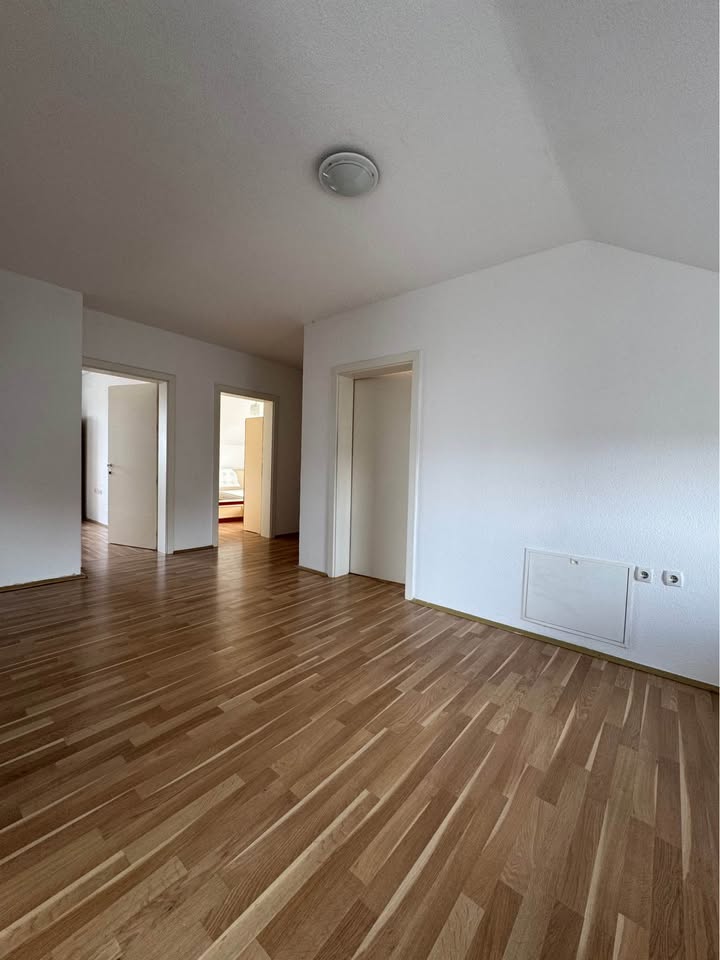 577886823 1380647893582444 295688904324084360 n