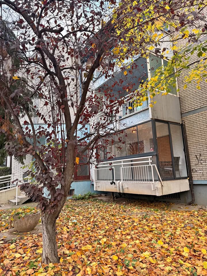 580139419 1374230490879508 791702771519511527 n