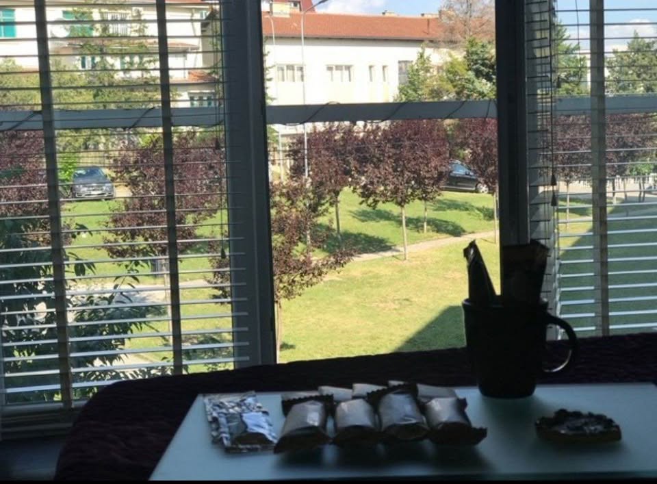 585289881 4334796926846095 6913803212480041309 n