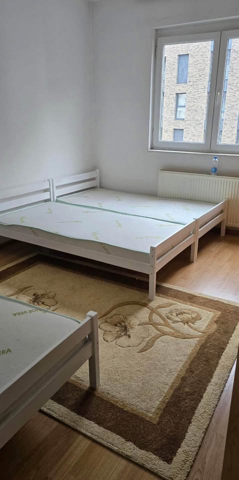 590178851 899312302420216 2465480187528136998 n