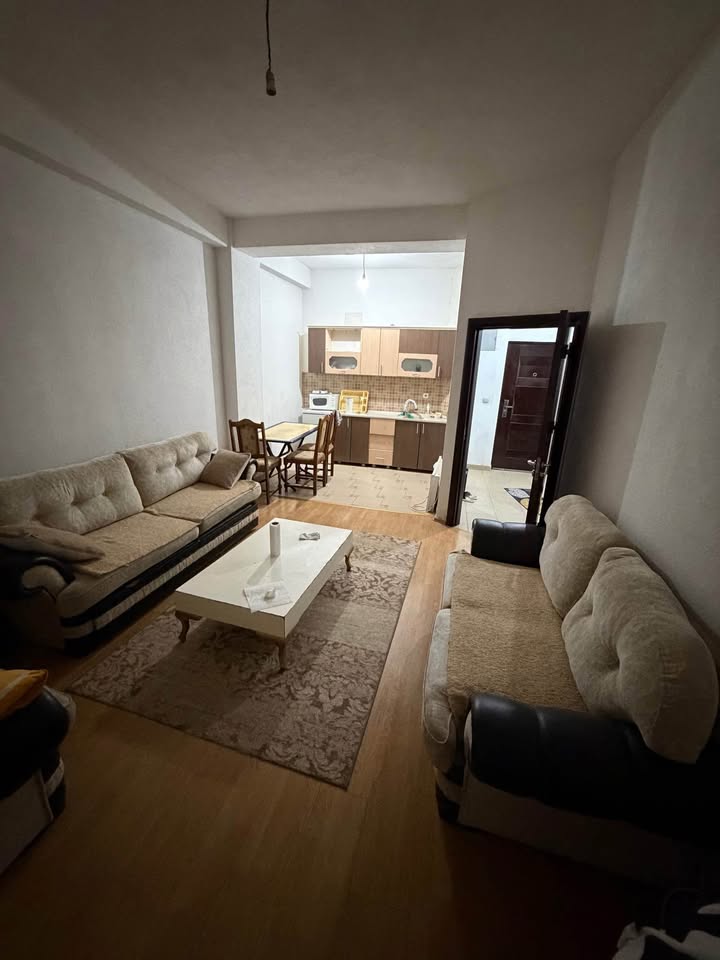 610034376 1235671038414021 9115496932212095030 n