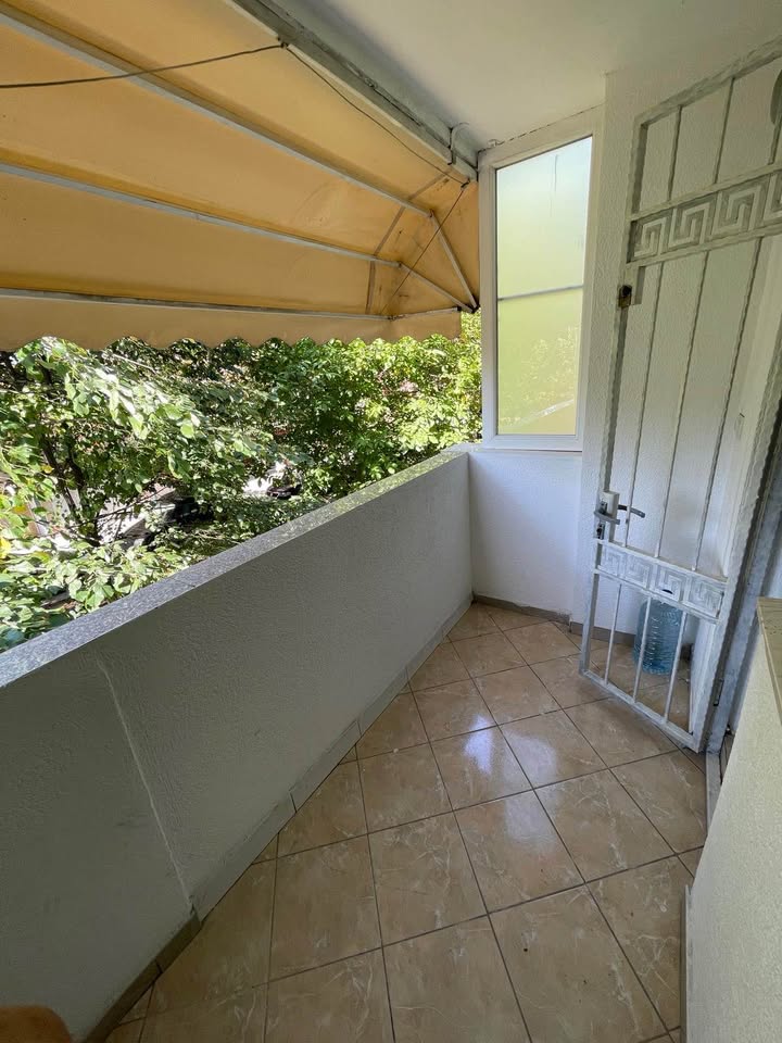 611390233 1951069728779849 8115858769308241536 n