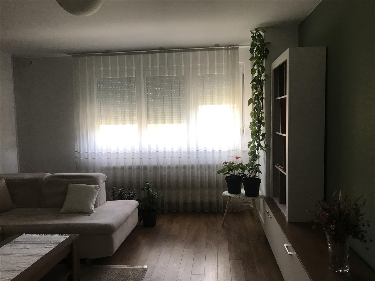 Shitje e baneses (6)