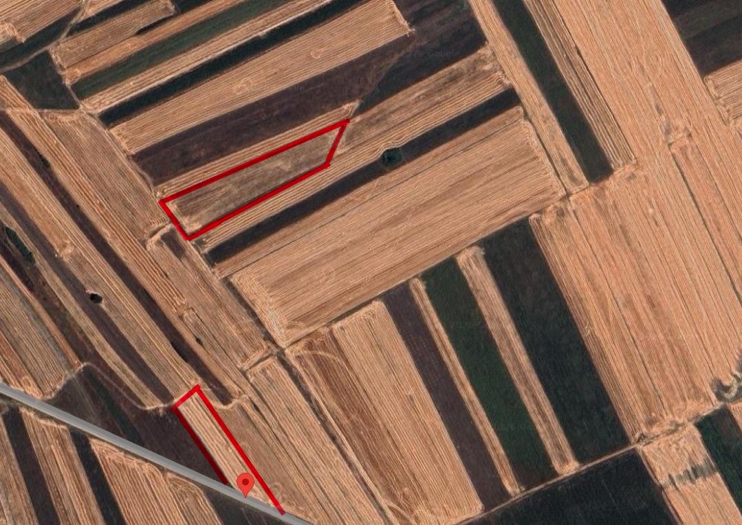 Viber image 2026 01 16 14 50 53