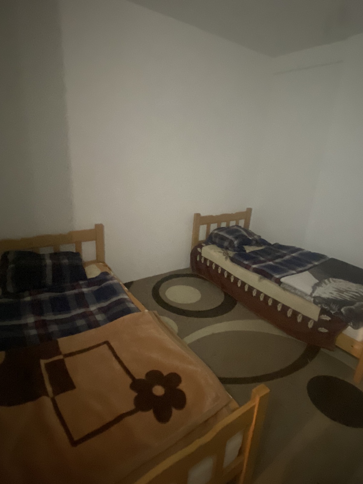 Viber image 2026 01 23 11 11 23