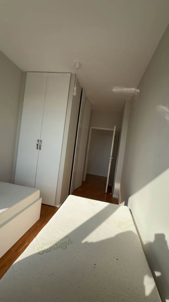 639058971 1245159433683109 8216809109041769791 n