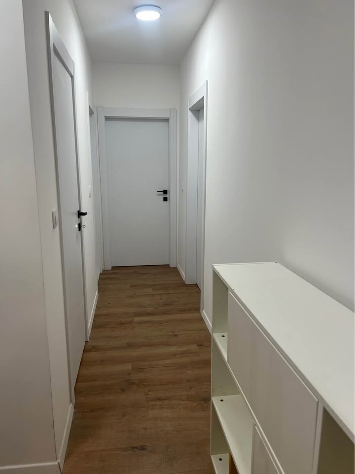 641488689 1555740392315792 2885518182304025563 n