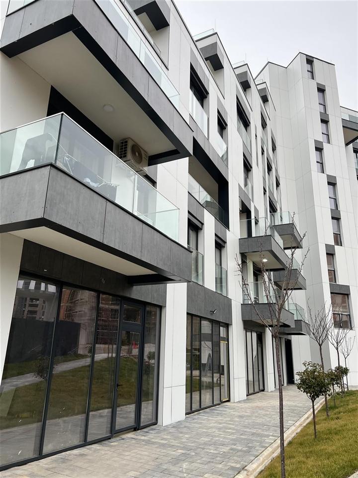 Leshohet banesa me qira (6)