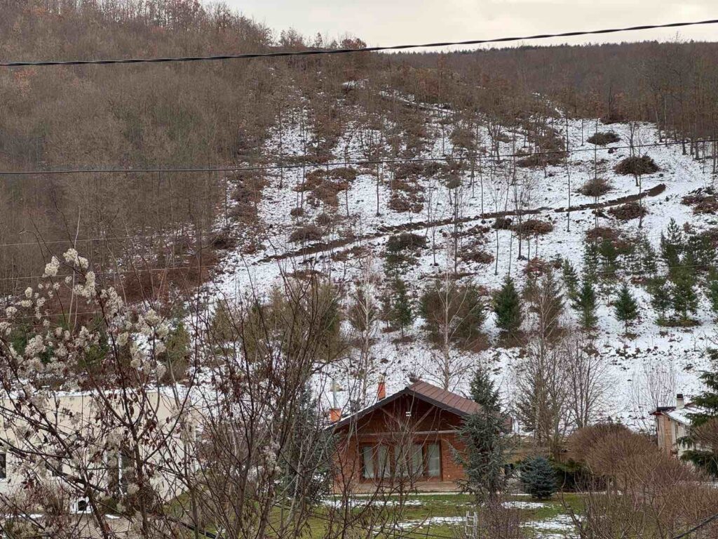 Viber image 2026 02 10 16 39 38