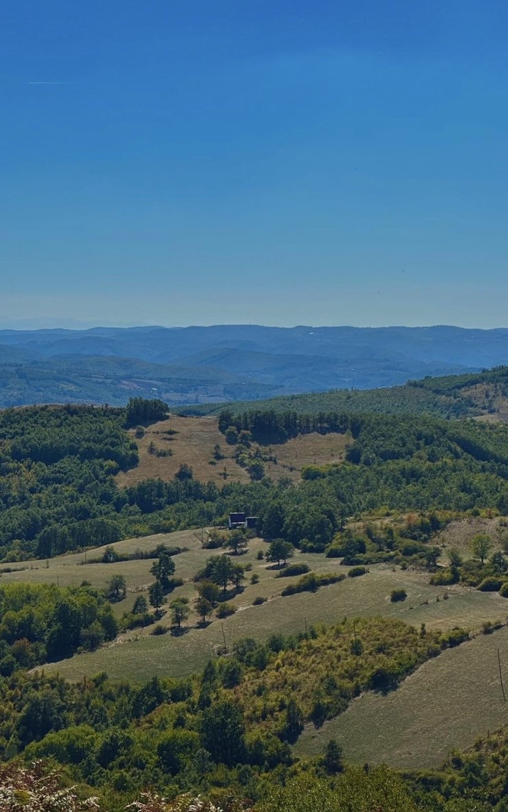 Viber image 2026 02 13 11 43 22