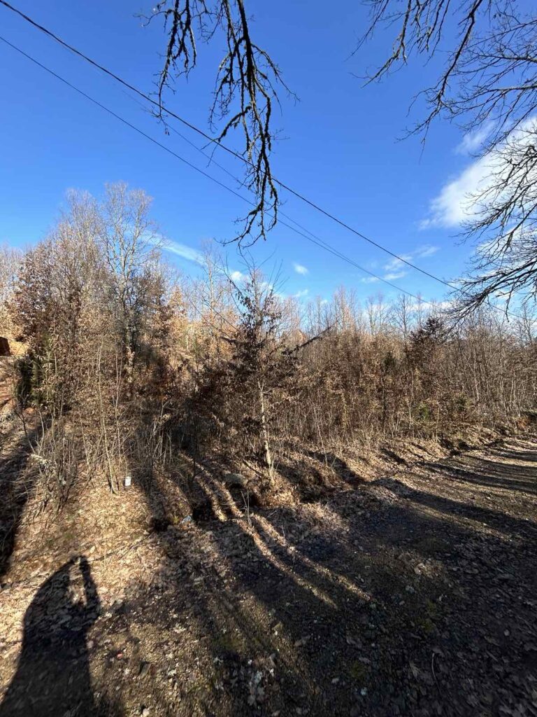 Viber image 2026 02 16 10 01 44